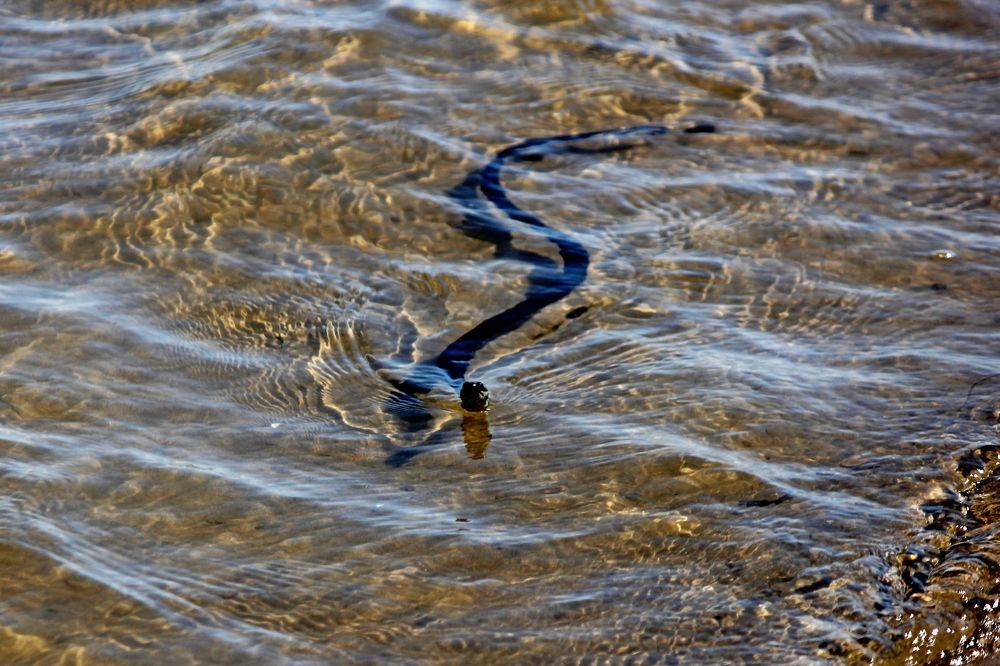 Photograph by Александр Бугаенко