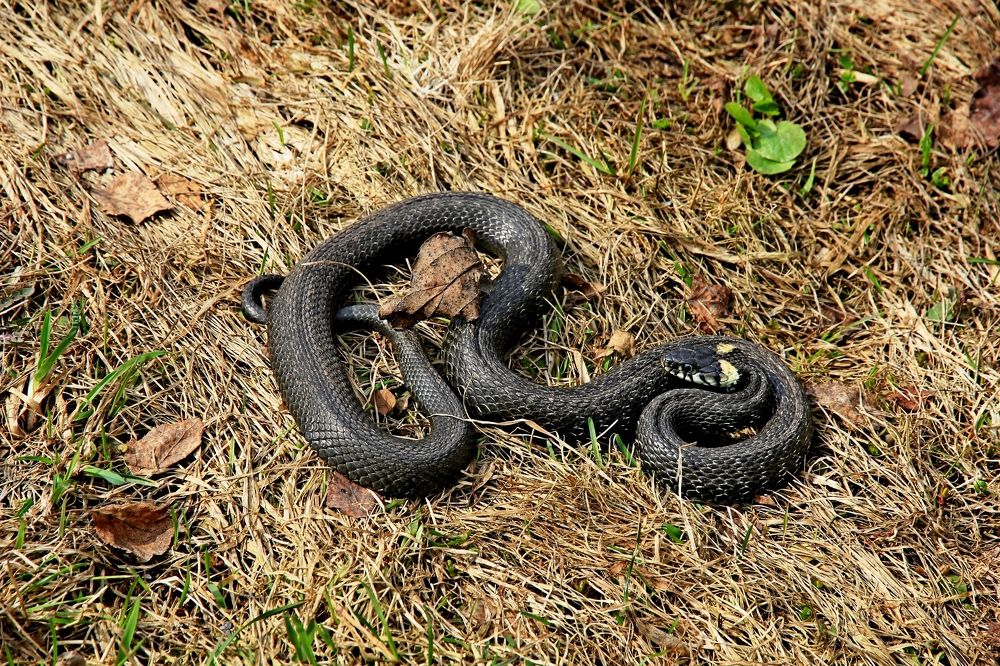 Photograph by Александр Бугаенко