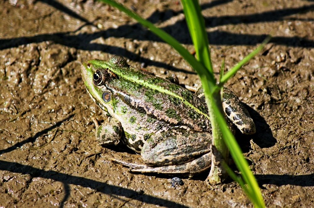 Photograph by Александр Бугаенко