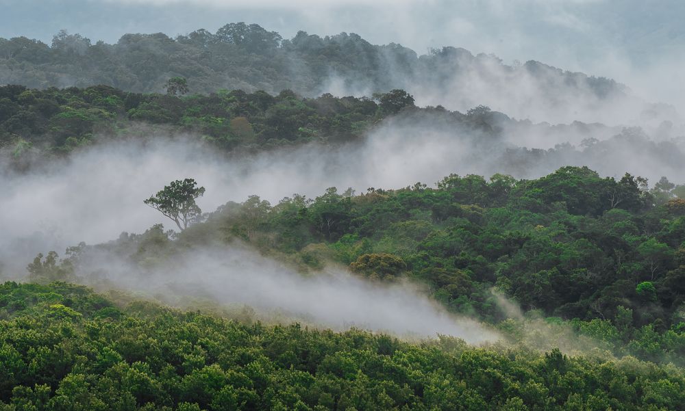 Photograph by Sooraj Rajan Sugandhamony