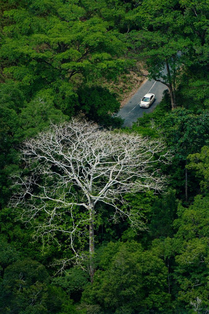 Photograph by Sooraj Rajan Sugandhamony