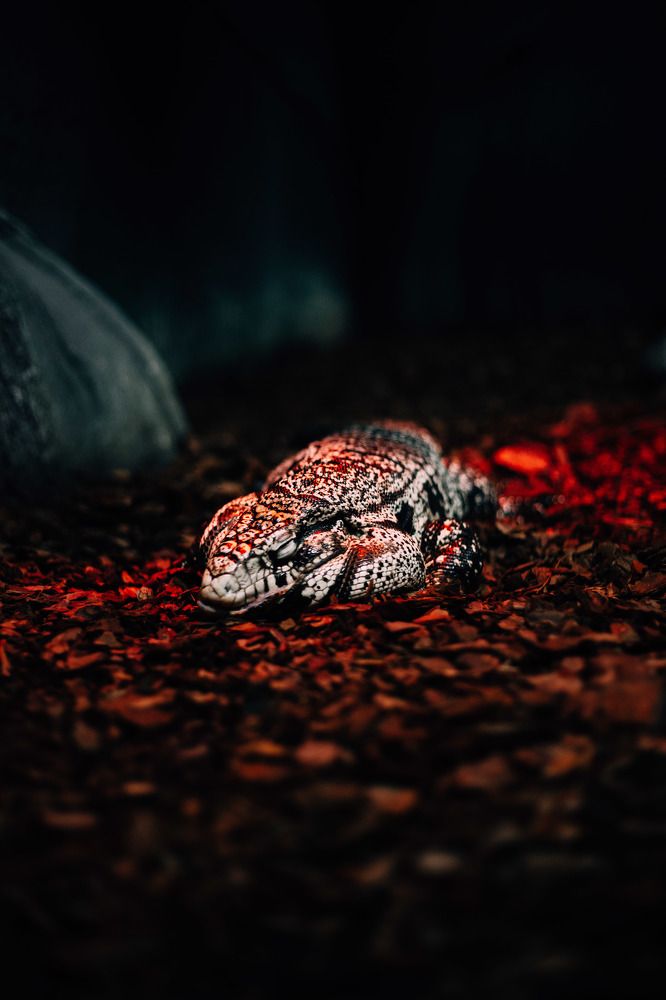 Photograph by Афанасьев Сергей