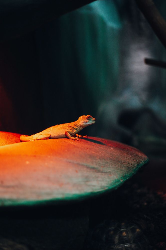 Photograph by Афанасьев Сергей