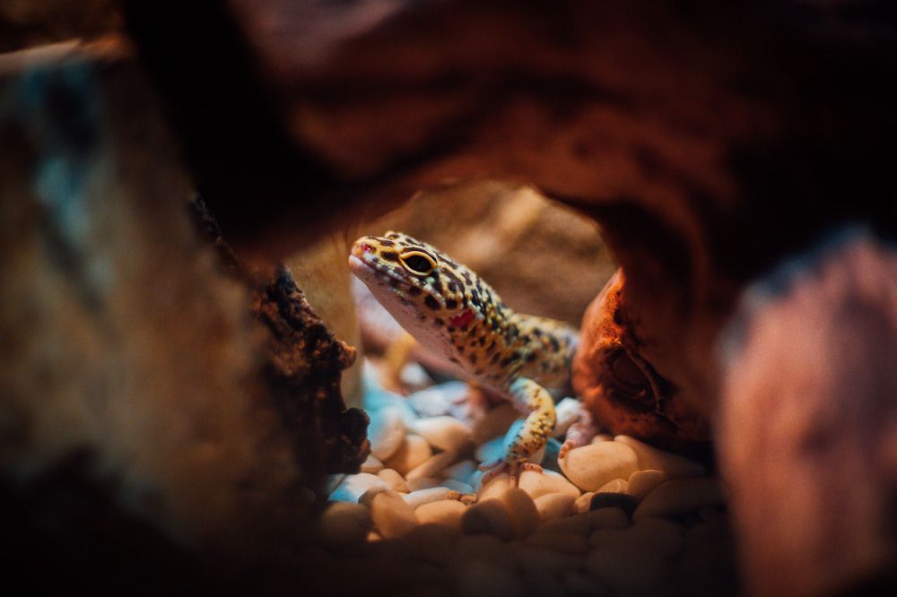 Photograph by Афанасьев Сергей