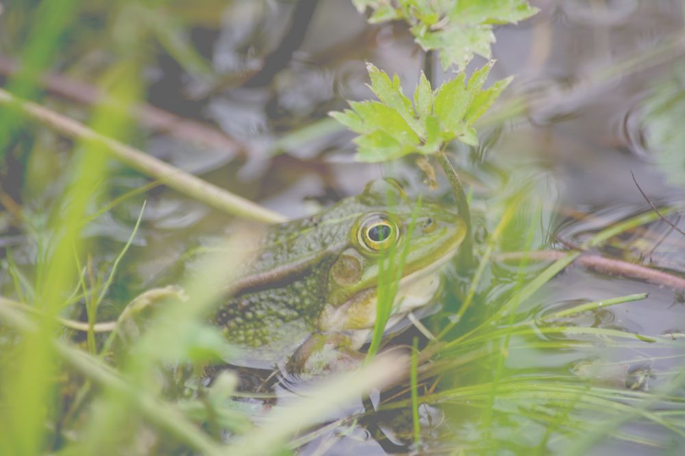 Photograph by Tatyana Ogarkova