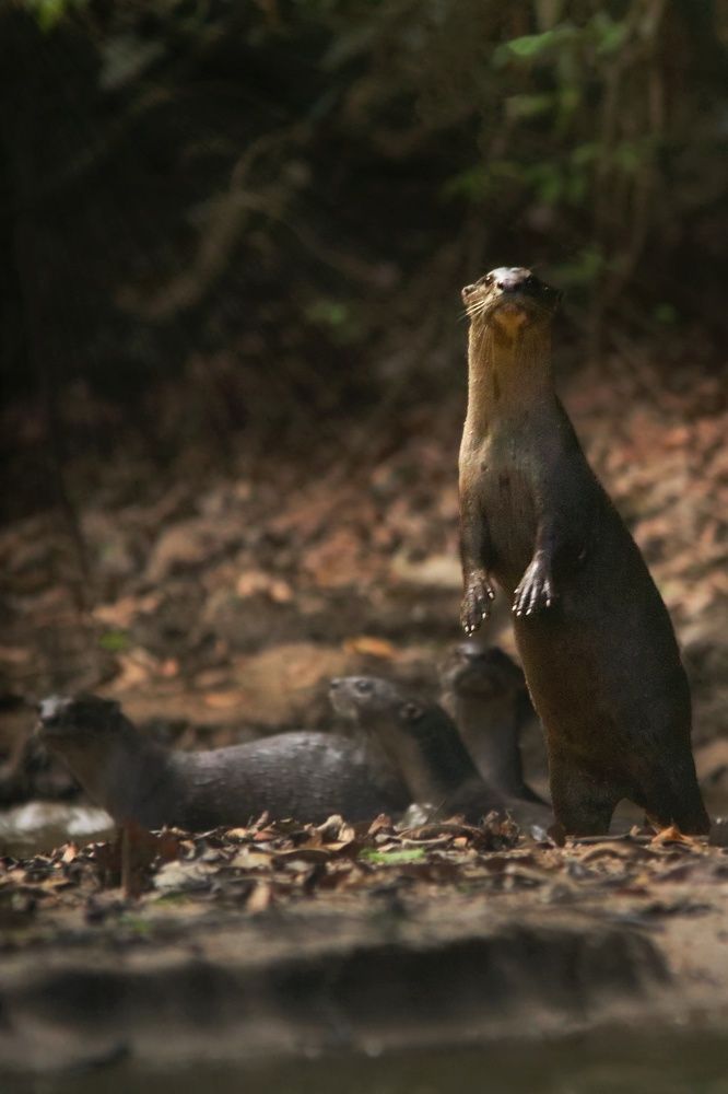 Photograph by Heshana Ariyaratne