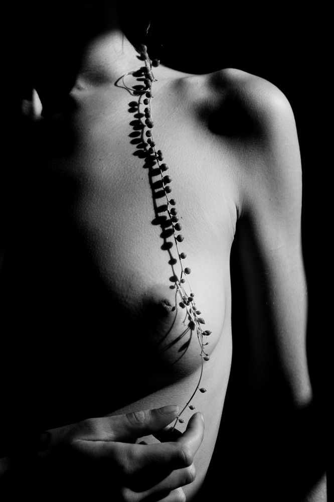 Photograph by Brendan Louw