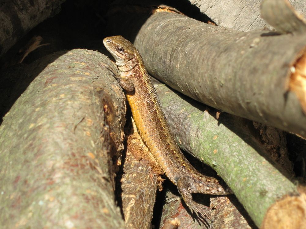 Photograph by Виктор Полуэктов