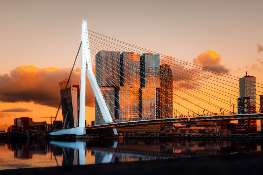 Erasmus Bridge Rotterdam: Connecting Modern Marvels