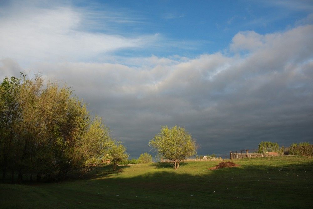 Photograph by Марина Юрченко