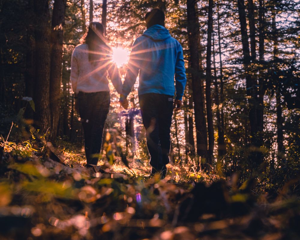 Фотография автора Ankit Gupta