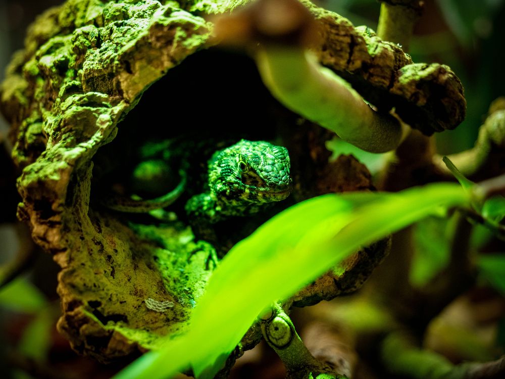 Photograph by Александр Васильев