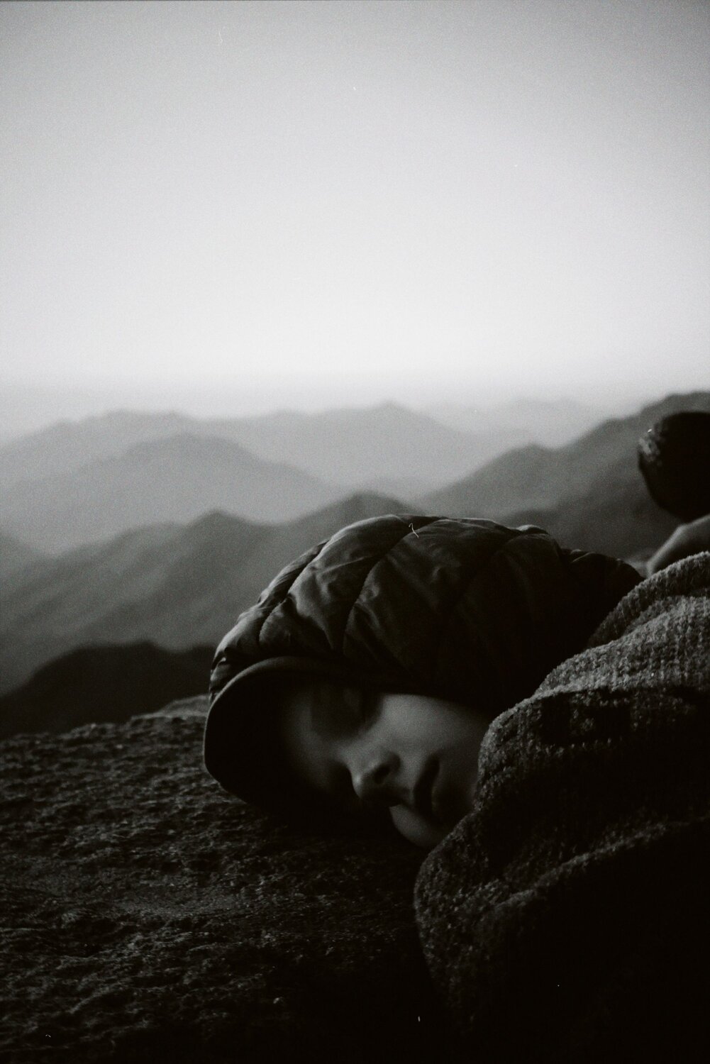 Photo #9125065