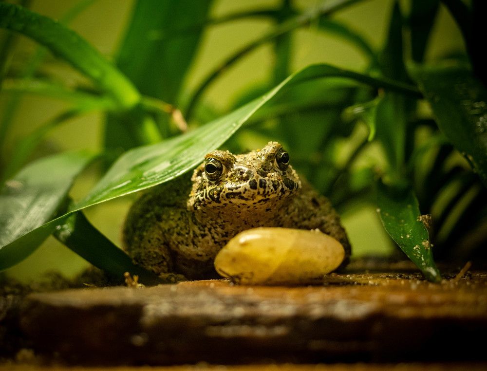 Photograph by Александр Васильев