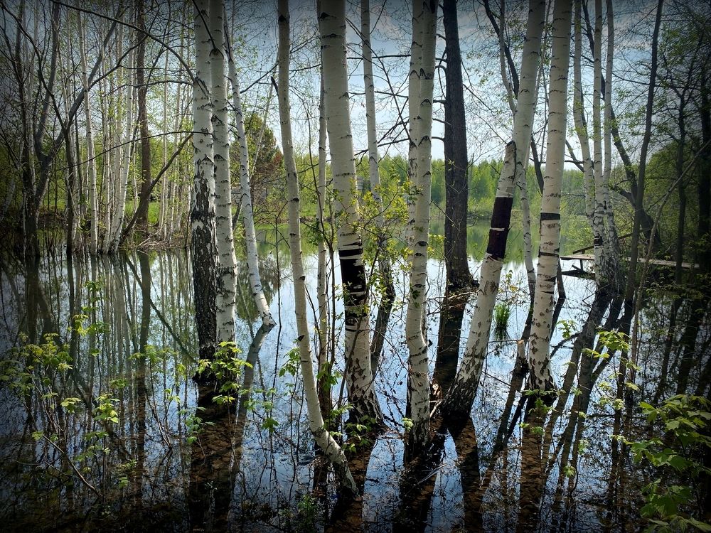 Photograph by Константин Филитов