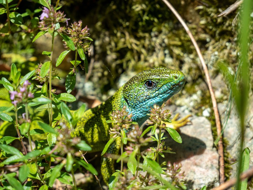 Photograph by Pucs Fongabe