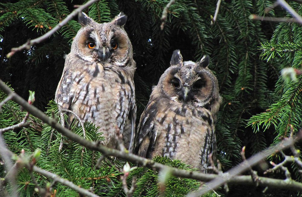 Греемся и спим