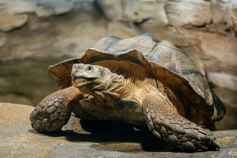 Photograph by Корчагина Оксана