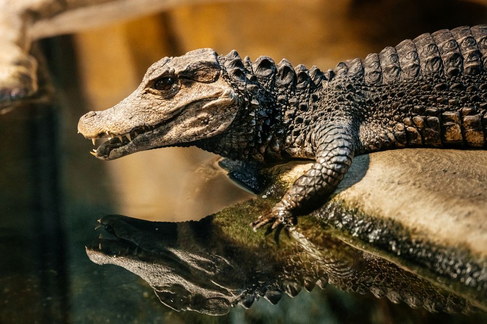 Photograph by Корчагина Оксана