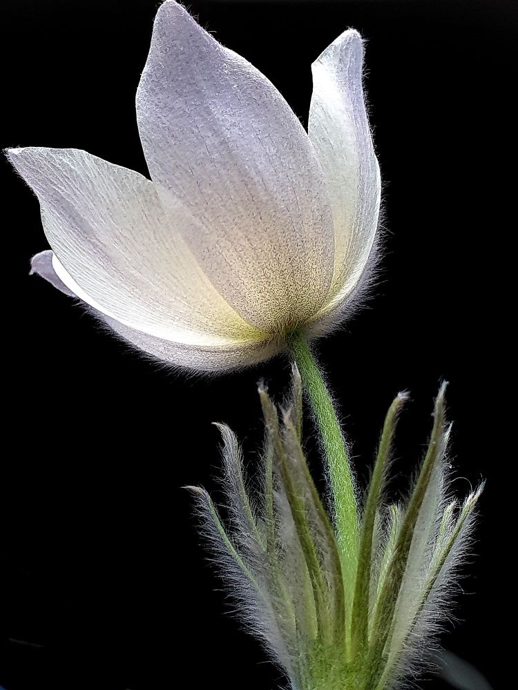 Photograph by Ольга Мандрыкина