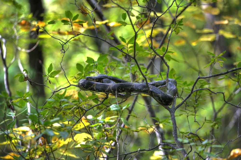 Photograph by Виктор Белименко