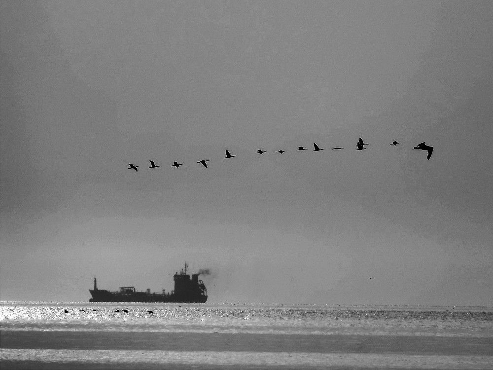 Photograph by Tudor Honceriu