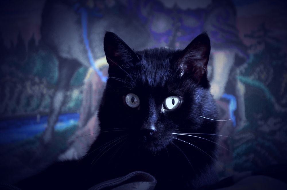 Photograph by Наталья Покрепина