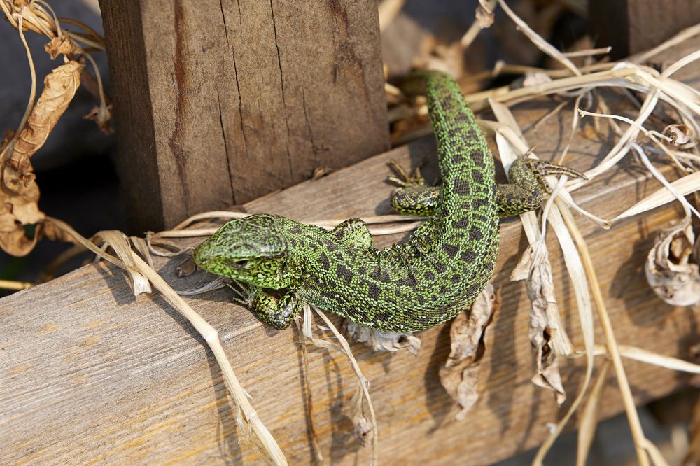 Photograph by Константин Кузнецов