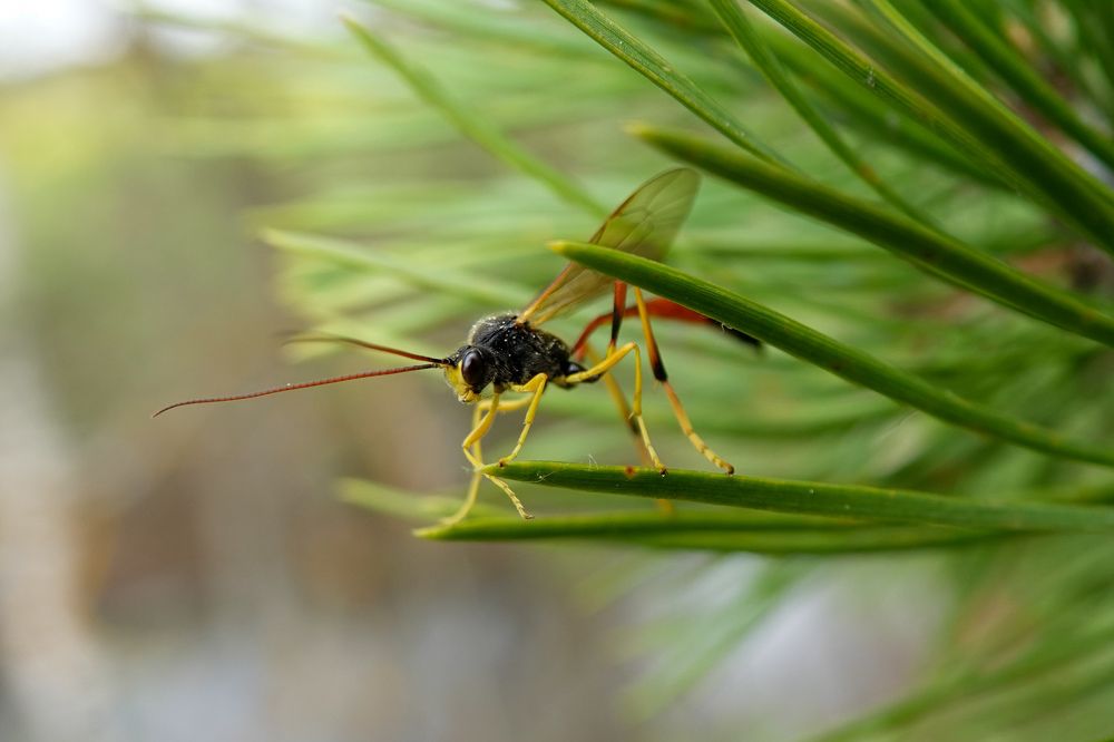 Photograph by Валерия Ковалева