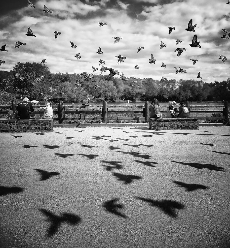 Photograph by Ольга Мартьянова