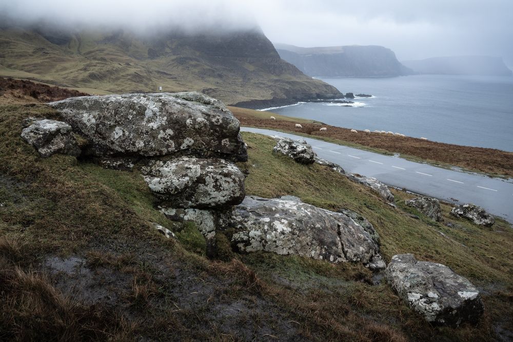 Photograph by Andy Fowlie