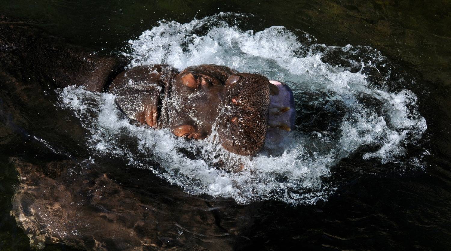 Фотография #9125811