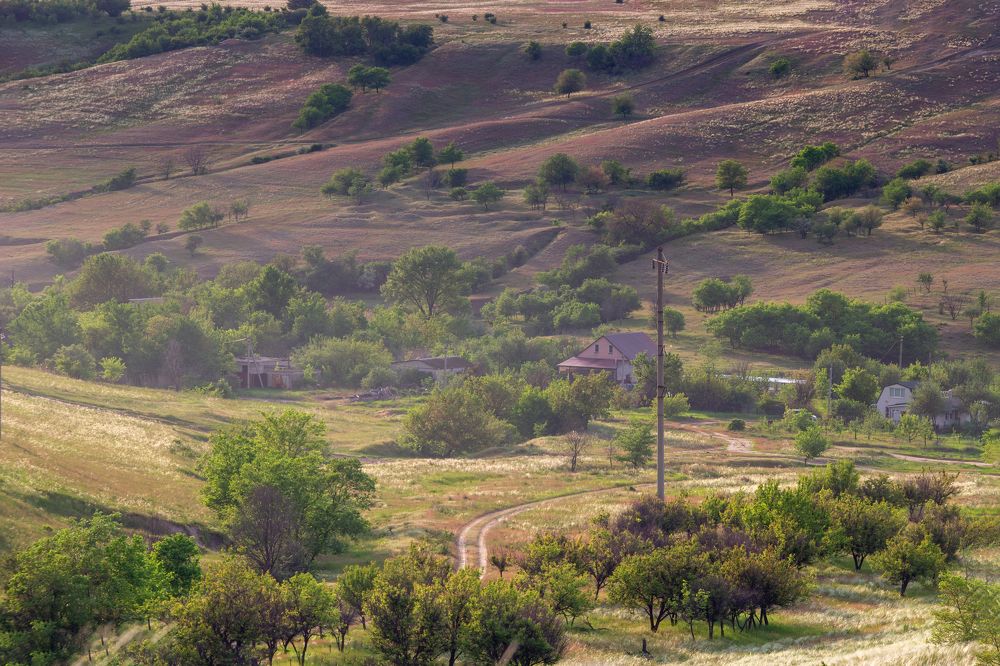 Photograph by Nastya Perekhodkina