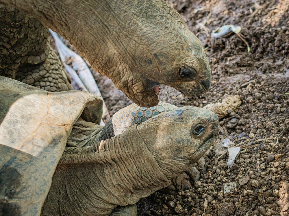 Photograph by Наталья Кокорина