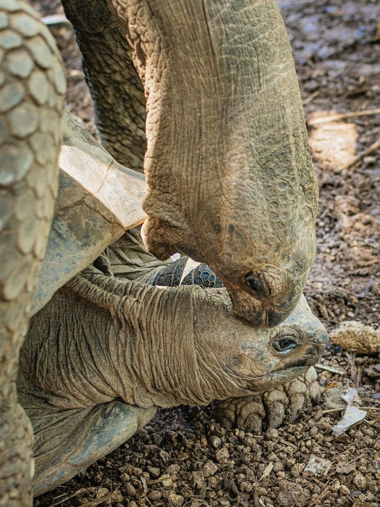 Photograph by Наталья Кокорина