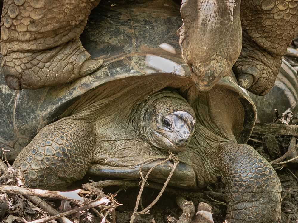 Photograph by Наталья Кокорина