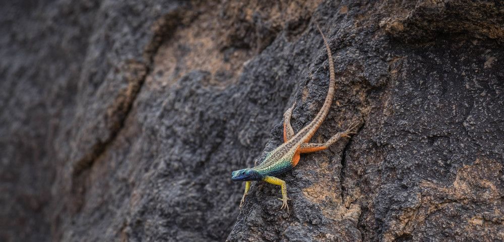 Photograph by Malinda Badenhorst