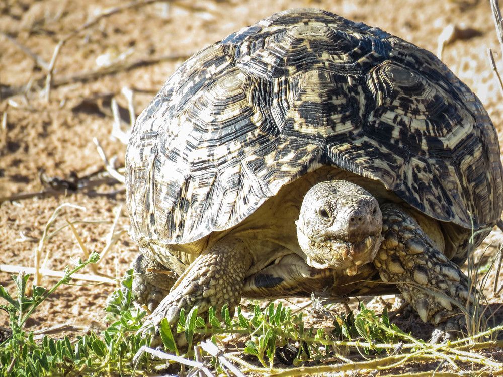 Photograph by Malinda Badenhorst