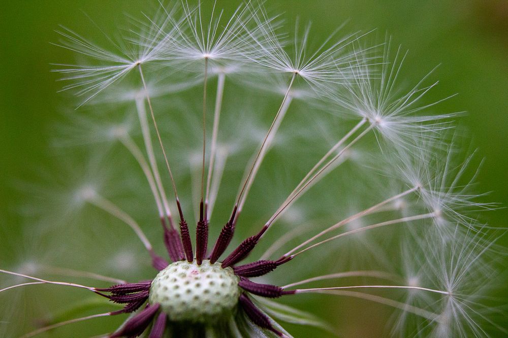 Photograph by Nastya Perekhodkina