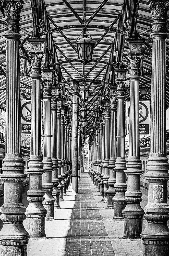 Фотография автора Светлана Алексеева