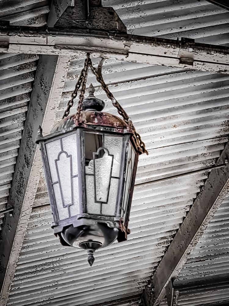 Фотография автора Светлана Алексеева