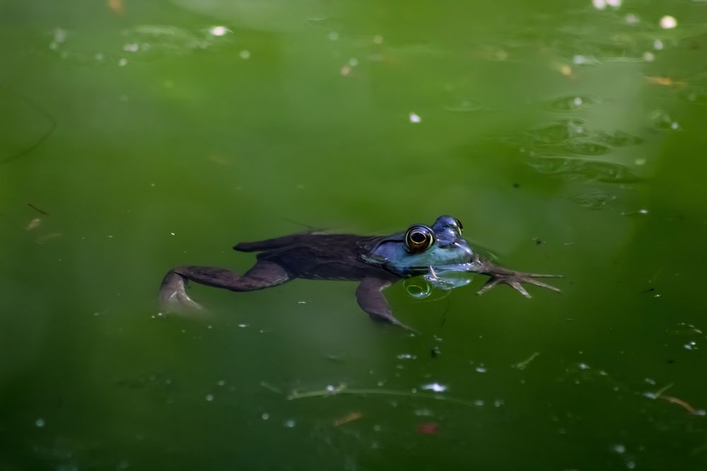 Photograph by Cindy Flick