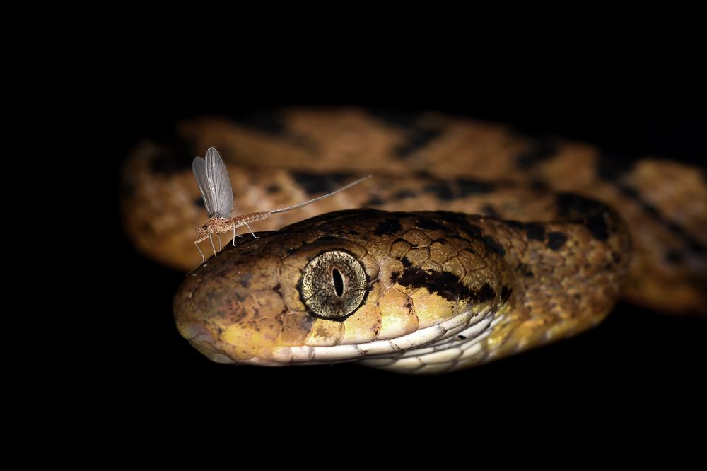 Photograph by Yuwaraj Gurjar