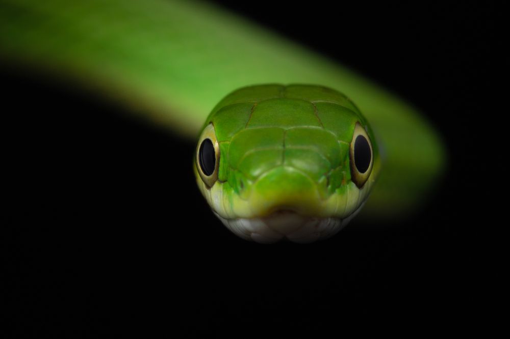 Photograph by Kevin Blackwell