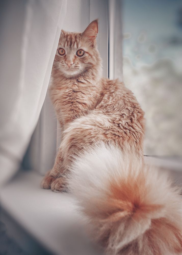 Photograph by Оксана Маракушина