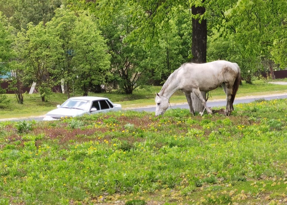 Photograph by Филоненко Николай