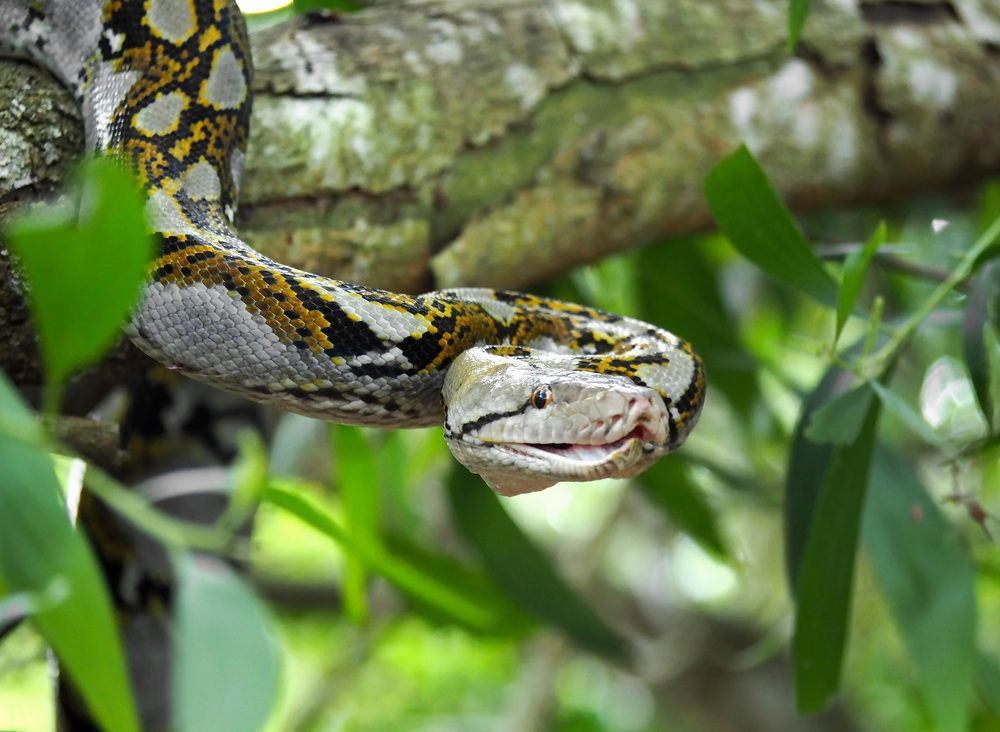 Photograph by Abie za