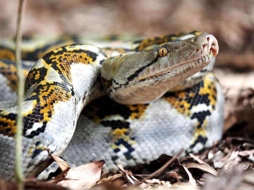 Photograph by Abie za