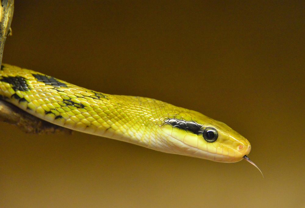 Фотография автора Anne Moginier