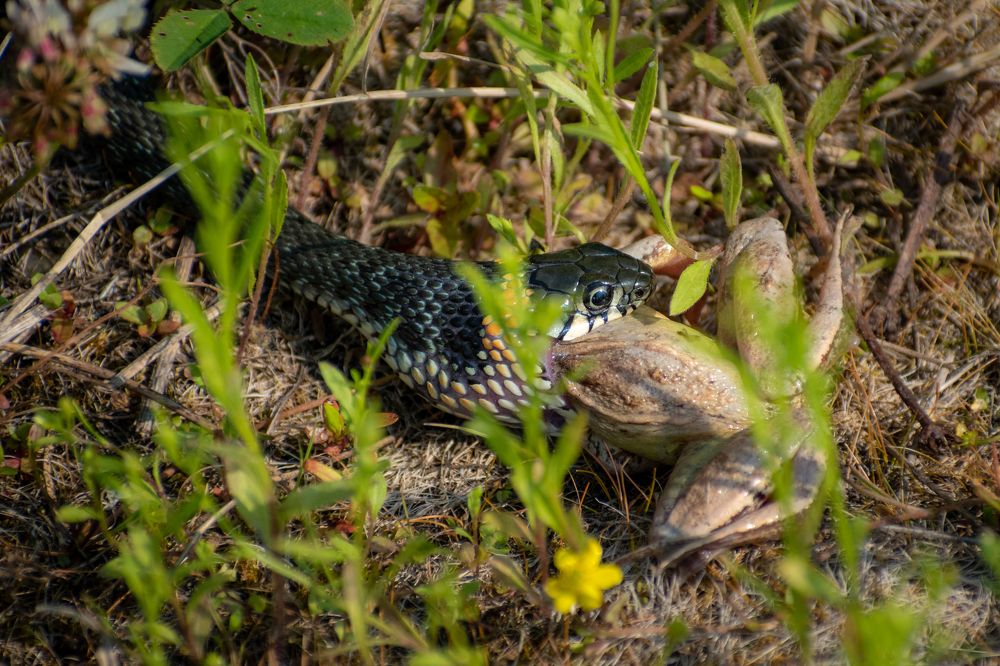 Photograph by Сергей Егоров